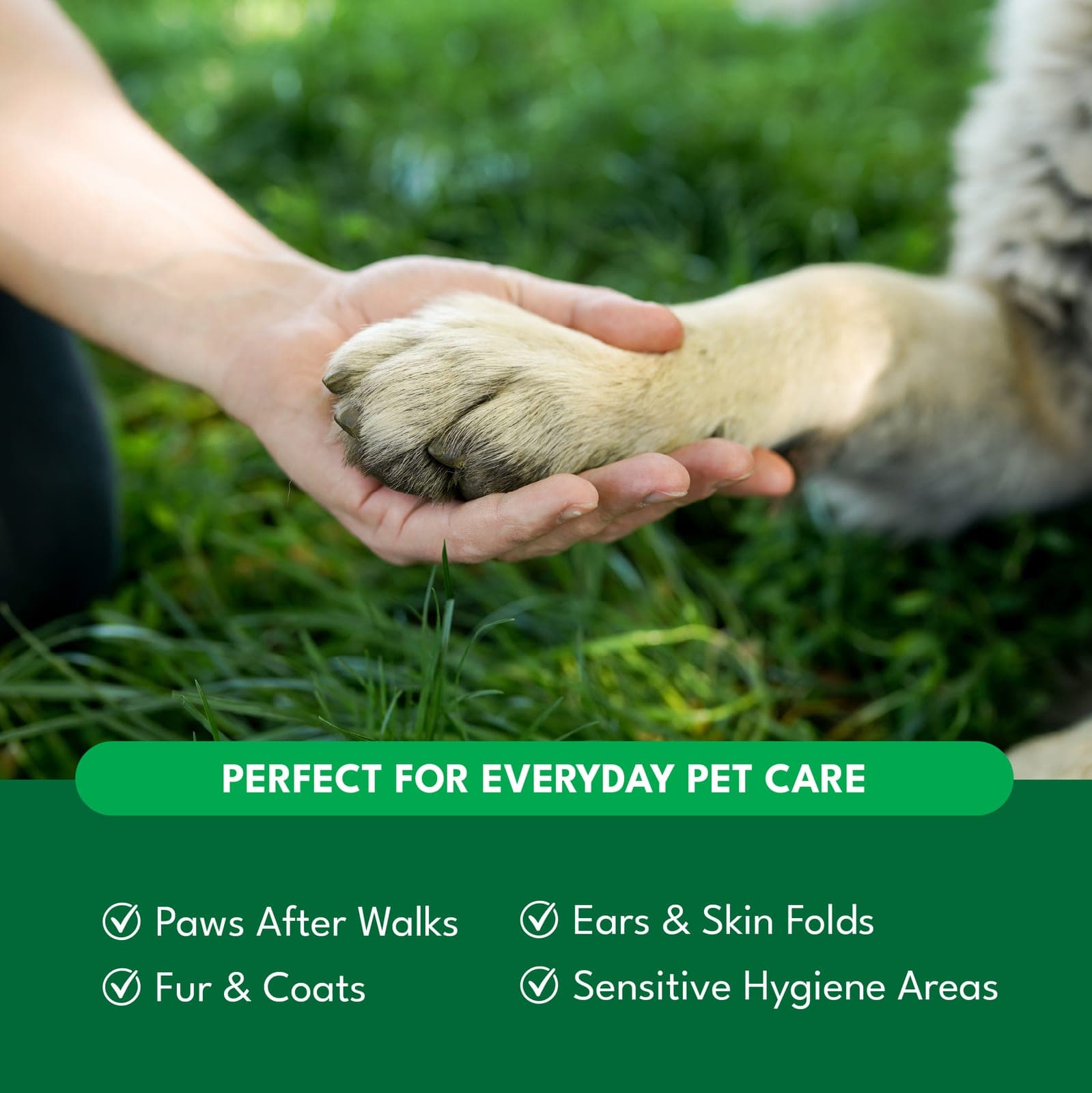 Sanigone dog wipes — simple wipe instructions